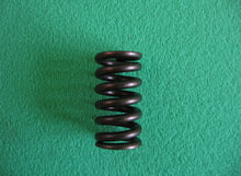Load image into Gallery viewer, Clutch Springs