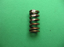 Load image into Gallery viewer, Clutch Springs
